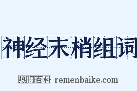 神经末梢组词是什么意思的图片